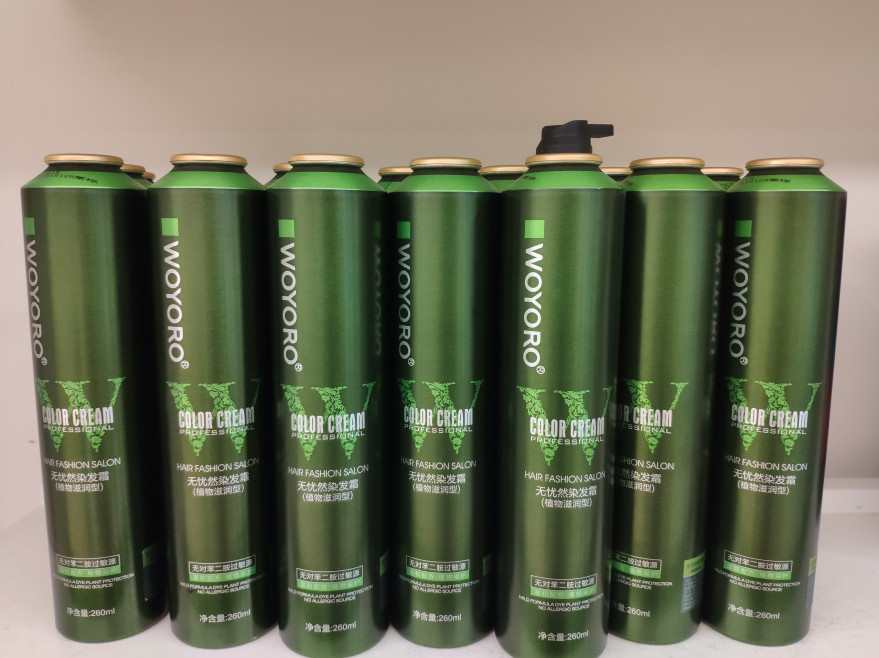 Long Lasting Ammonia Free Hair Dye Cream 19 Dựa trên 260ml cho Salon